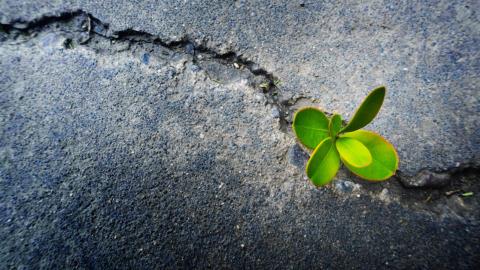 Switzerland launches Green Fintech Network
